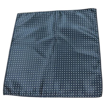 Craig Reagin Pocket Square: Navy Dot