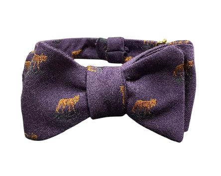 Craig Reagin Fox Bowtie: Purple