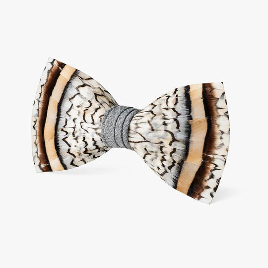 Brackish Bowtie: Exuma