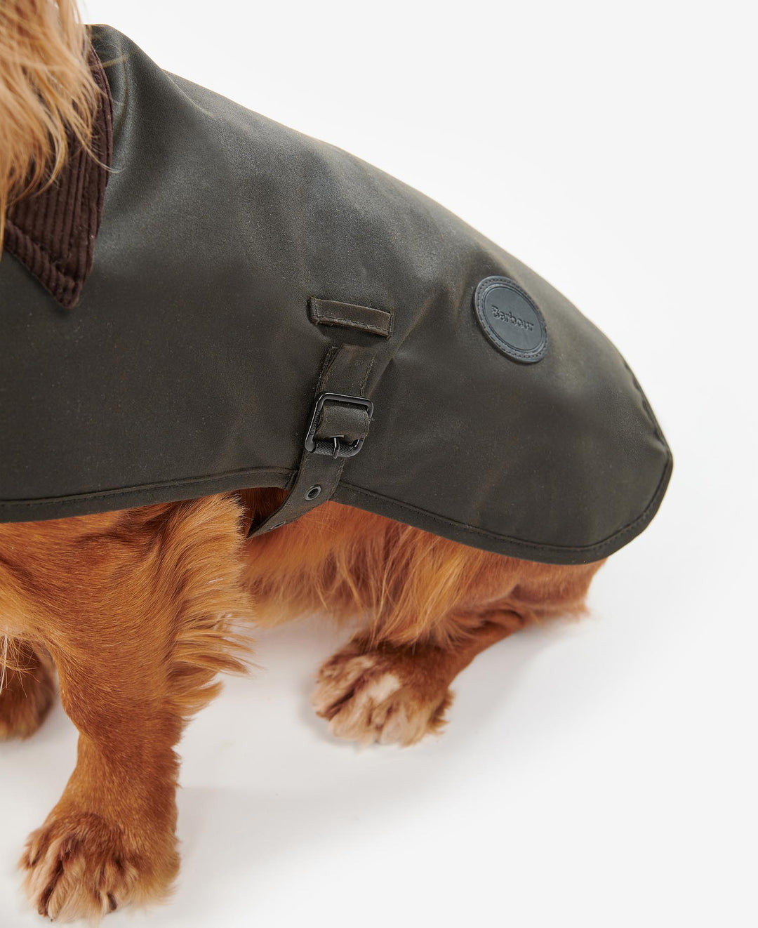Barbour Wax Dog Coat: Olive