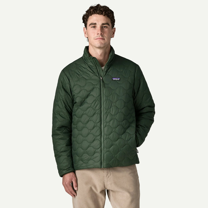 Patagonia Men's Heyes Peak Jacket: Treeline Green