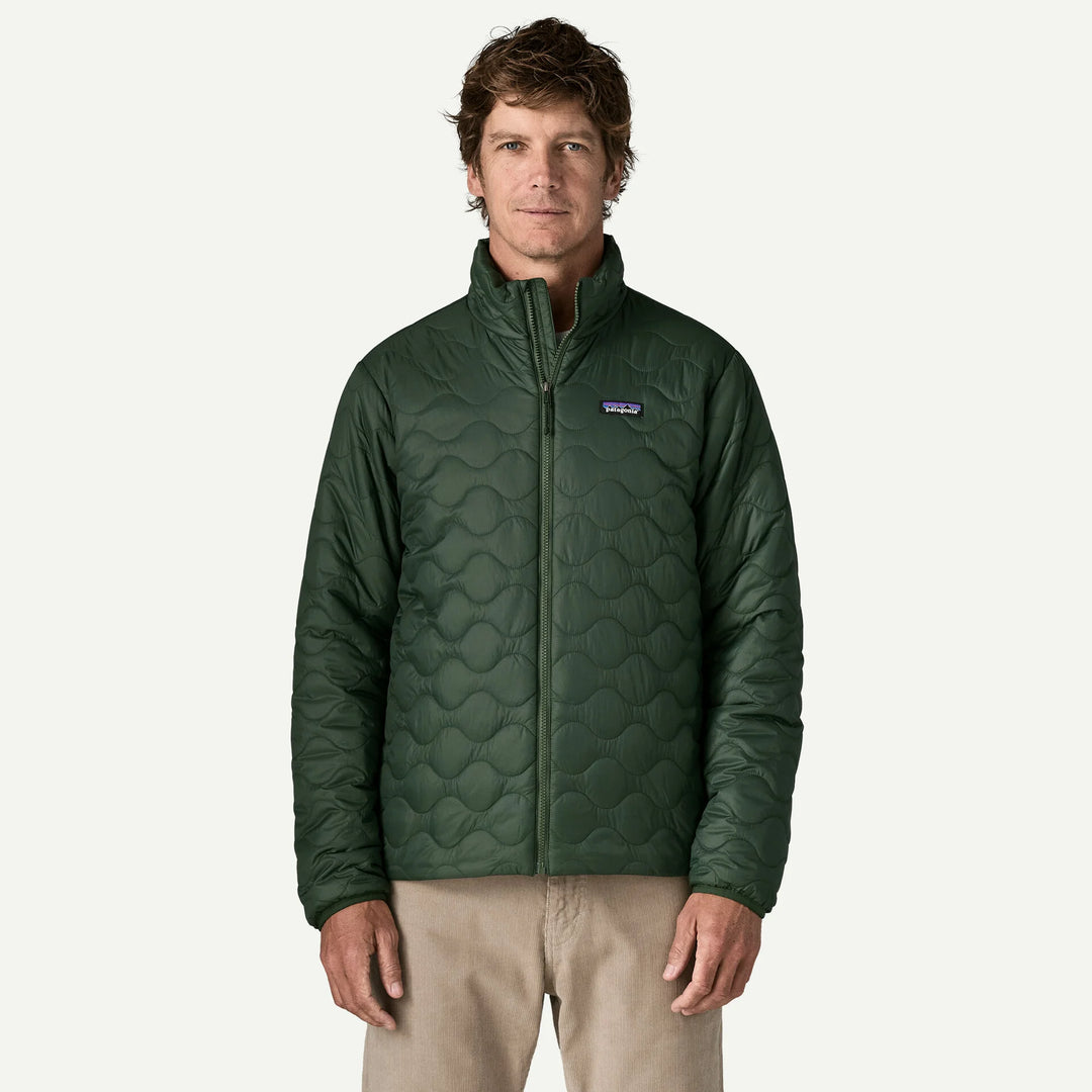 Patagonia Men's Heyes Peak Jacket: Treeline Green