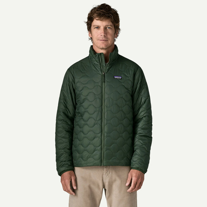 Patagonia Men's Heyes Peak Jacket: Treeline Green