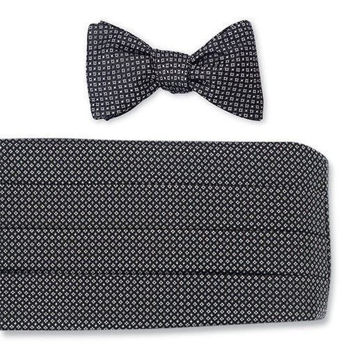 R. Hanauer Black Pendleton Neats Bow Tie and Cummerbund Set