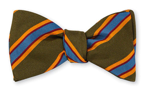 R. Hanauer Green Vista Stripes Bow Tie