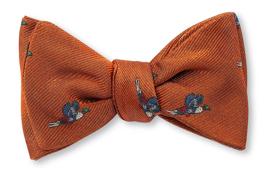 R. Hanauer Henna Albright Pheasant Bow Tie
