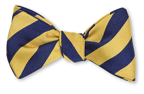 R. Hanauer Navy/Primrose Butler Stripes Bowtie