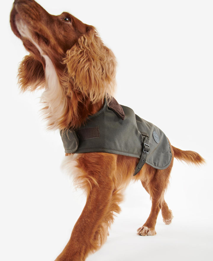 Barbour Wax Dog Coat: Olive