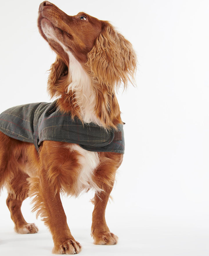 Barbour Tartan Waxed Dog Coat: Classic Tartan
