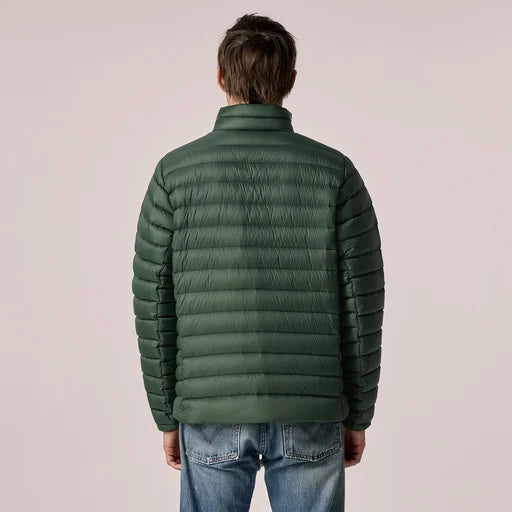 Patagonia Men's Down Sweater™ Jacket: Treeline Green