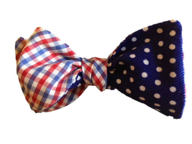 Craig Reagin America Tattersall/Blue Dot Bowtie