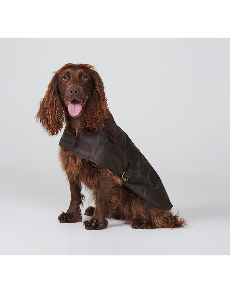 Barbour Wax Dog Coat: Olive – Craig Reagin Clothiers