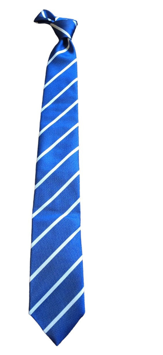 Robert Jensen Blue College Stripe Tie