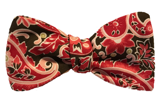 Craig Reagin Paisley/Red Dot Bowtie