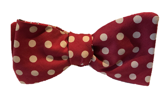 Craig Reagin Paisley/Red Dot Bowtie