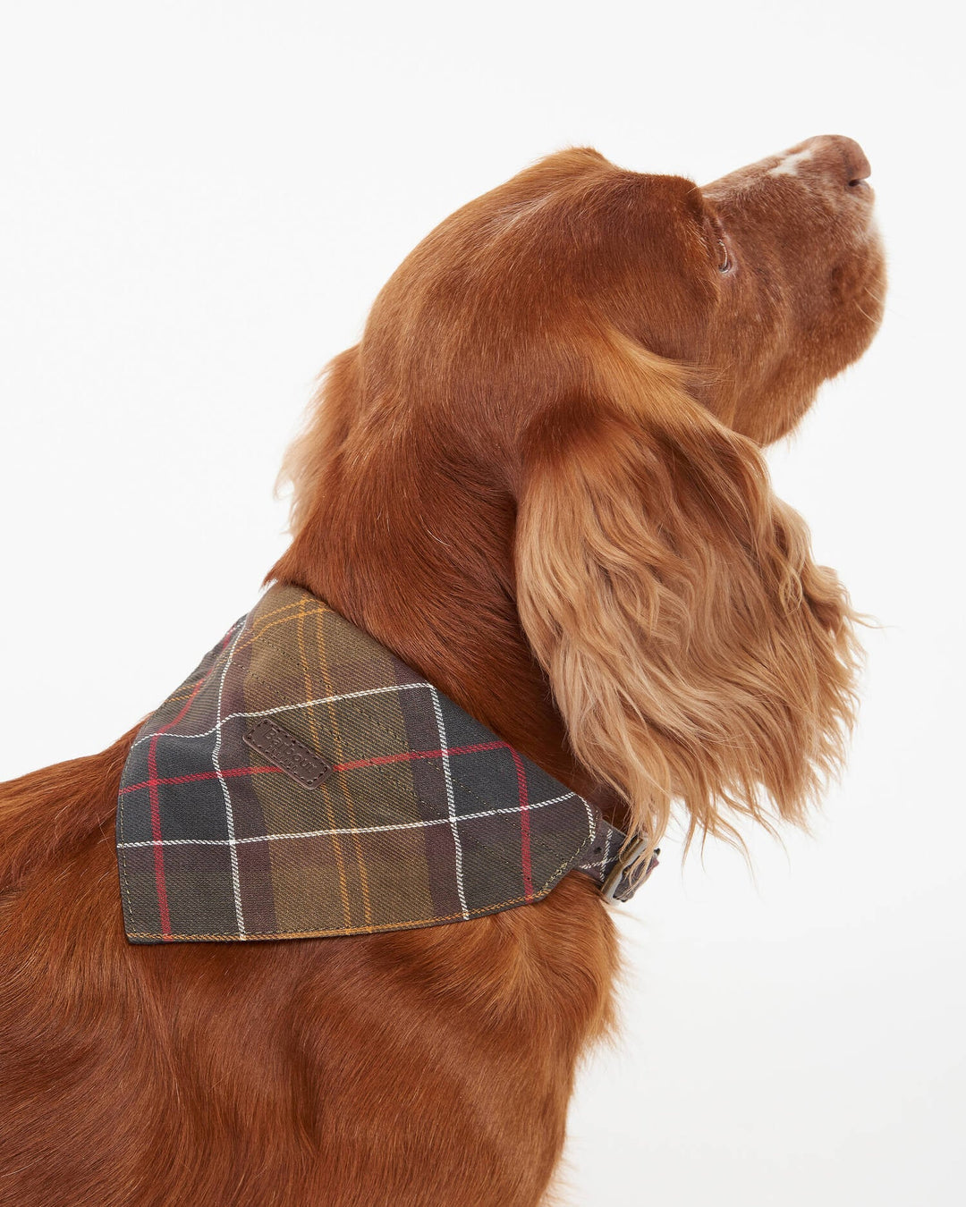 Barbour Tartan Bandana