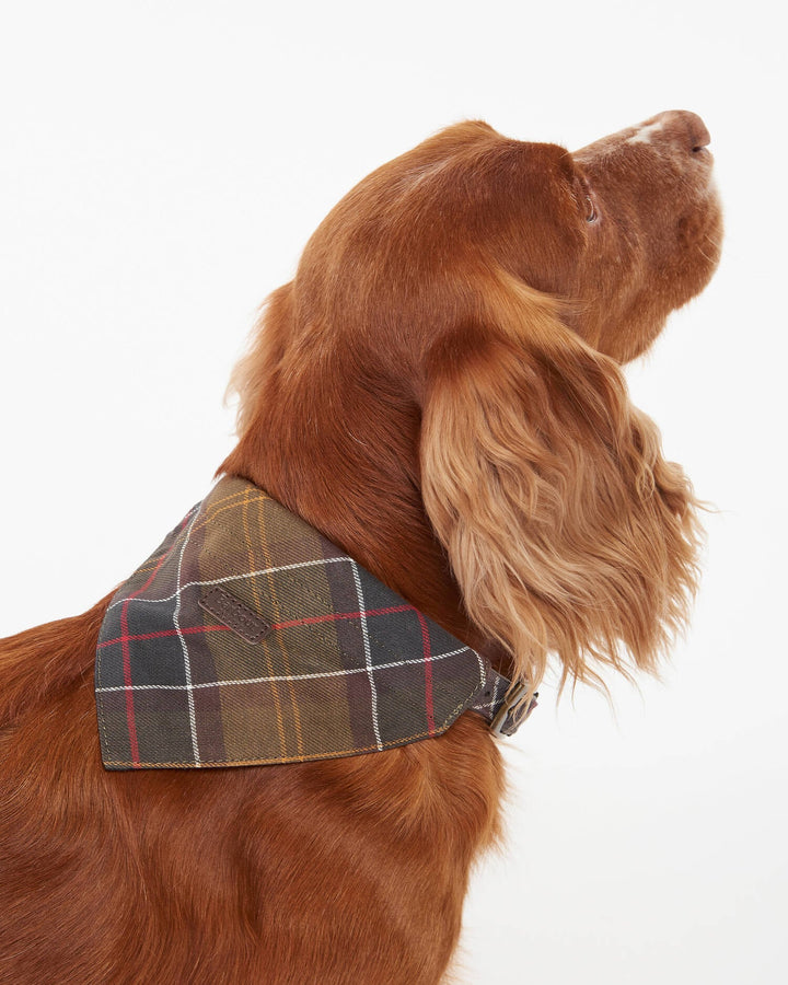Barbour Tartan Bandana