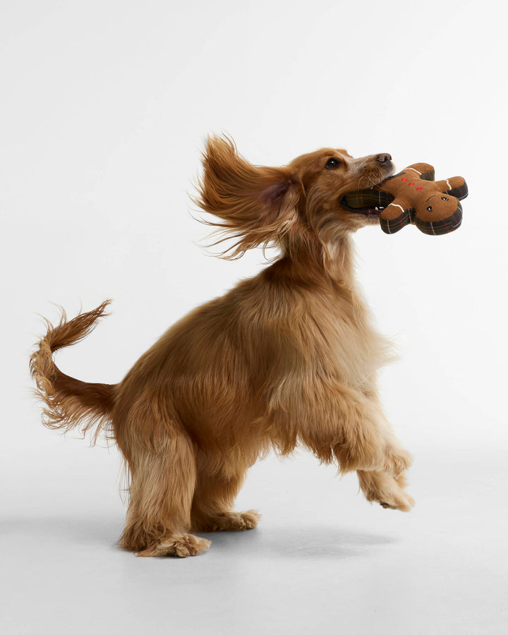 Barbour Gingerbread Dog Toy