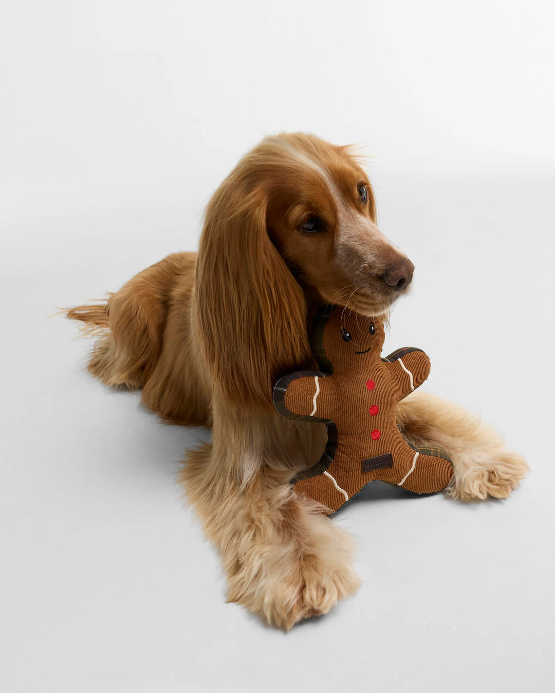 Barbour Gingerbread Dog Toy
