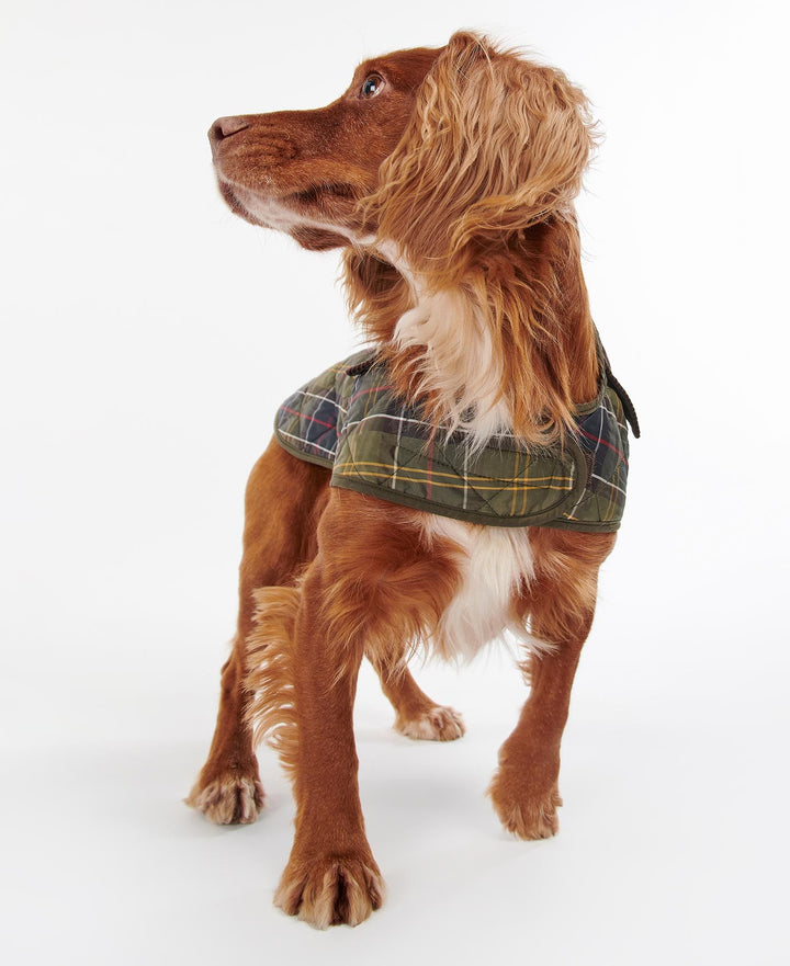 Barbour Tartan Dog Coat: Classic Tartan