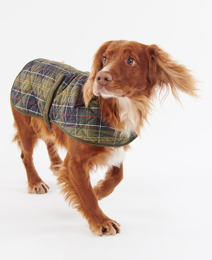 Barbour Tartan Dog Coat: Classic Tartan