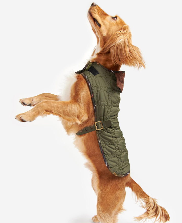 Barbour Dog Bone Quilted Dog Coat: Dark Olive