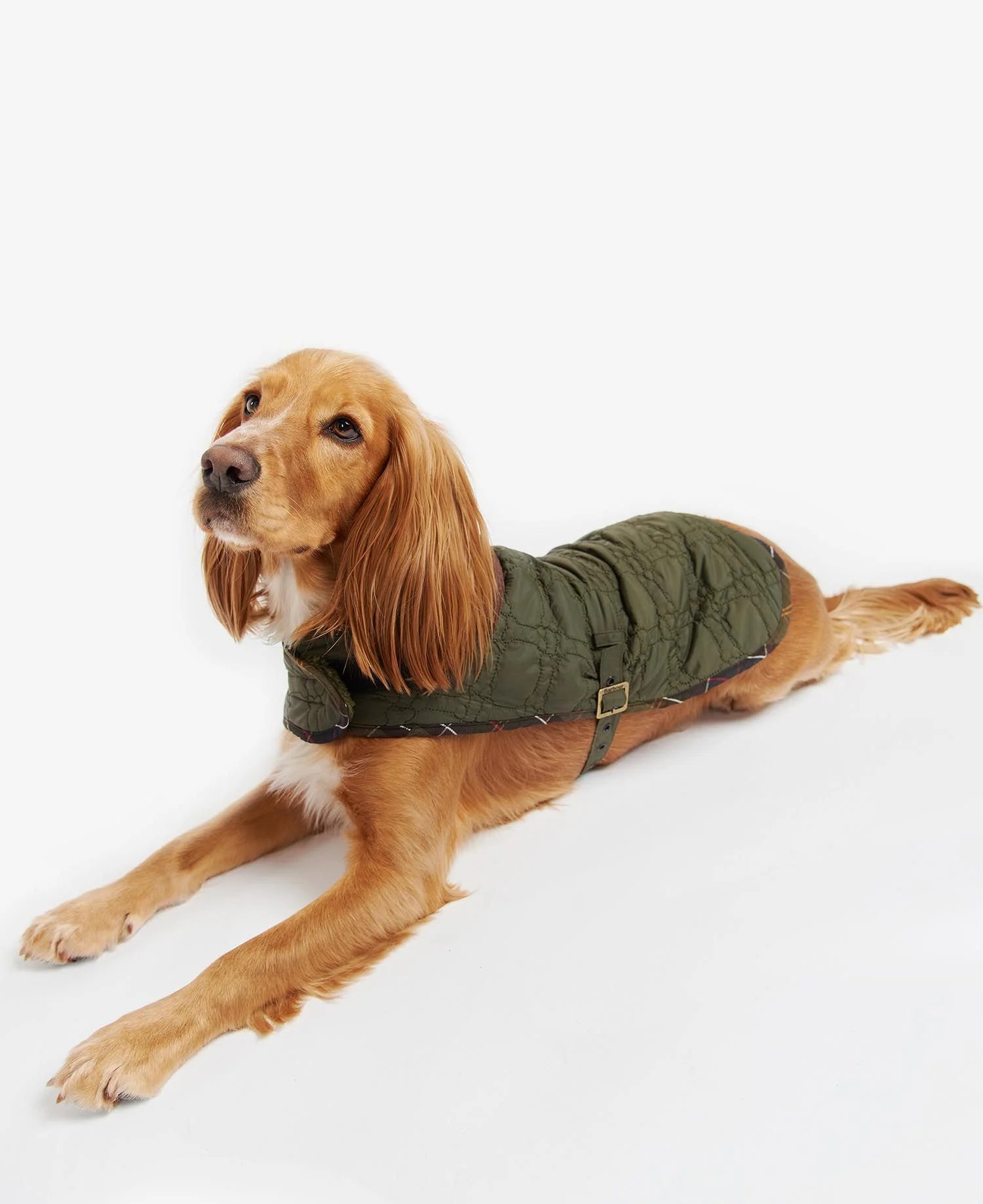 犬服・アクセサリー Barbour quilted dog coat Barbour Quilted Dog Coat - Macy's