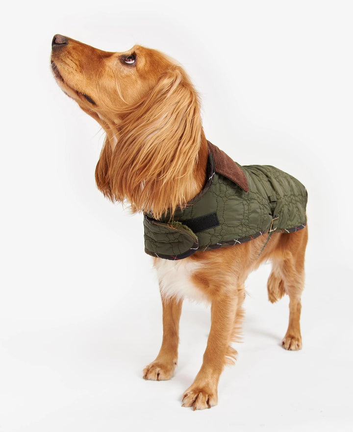 Barbour Dog Bone Quilted Dog Coat: Dark Olive