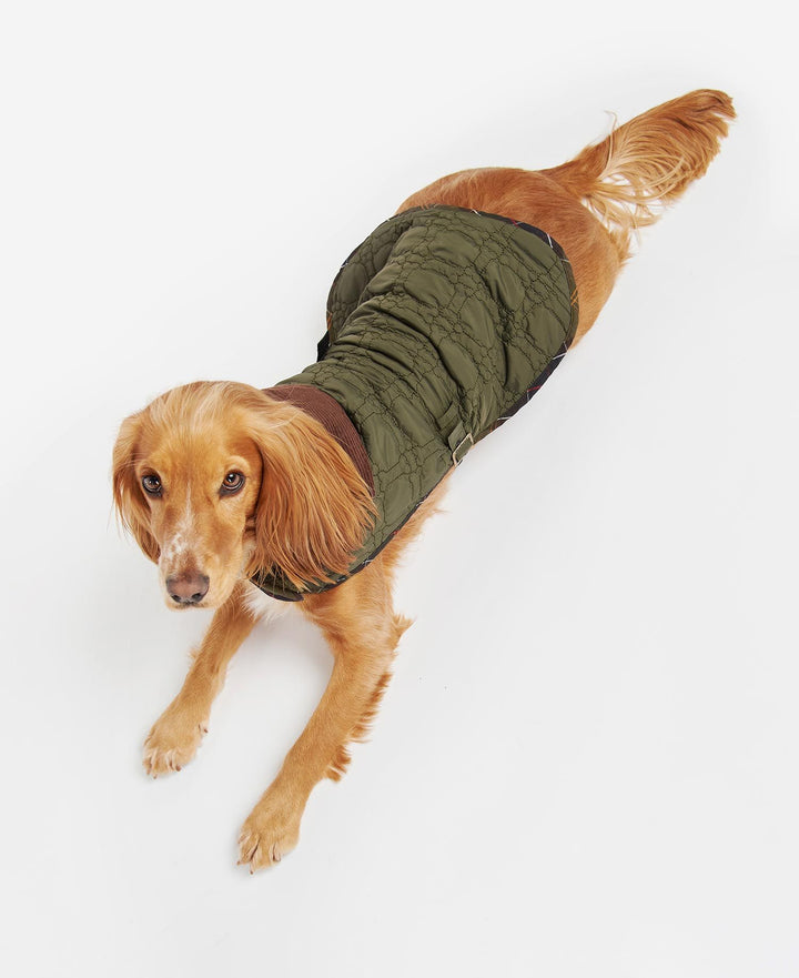 Barbour Dog Bone Quilted Dog Coat: Dark Olive