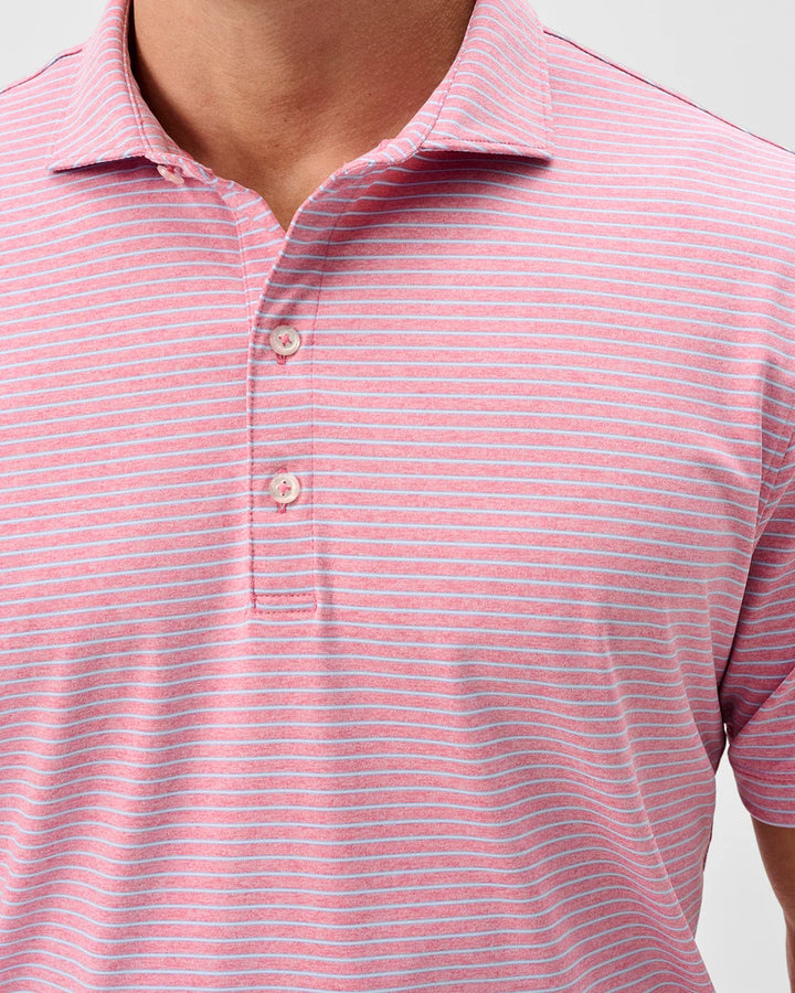 Johnnie-O Performance Jersey Polo - Michael Stripe: Palm Beach