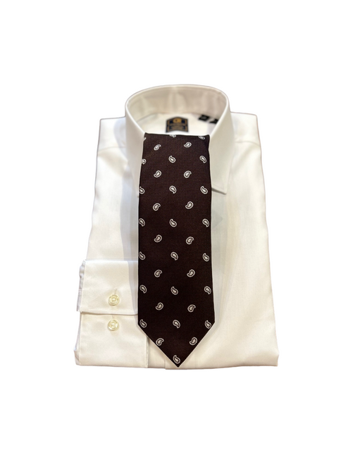 Seaward and Stearn Paisley Tie: Brown