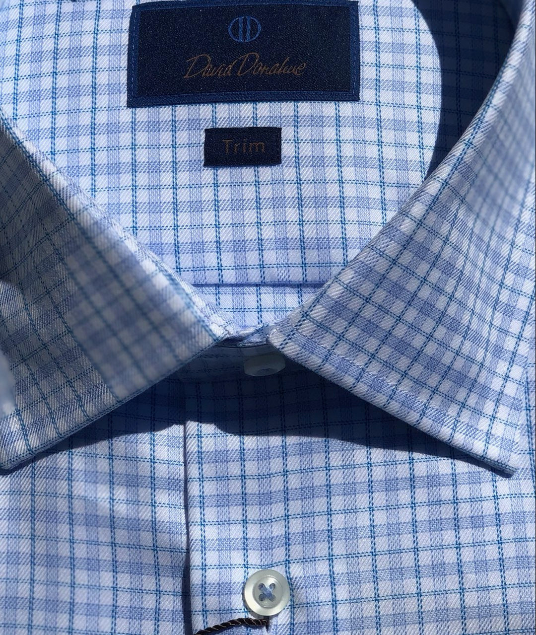 David Donahue Blue/Seafoam Plaid Windowpane Dress Shirt