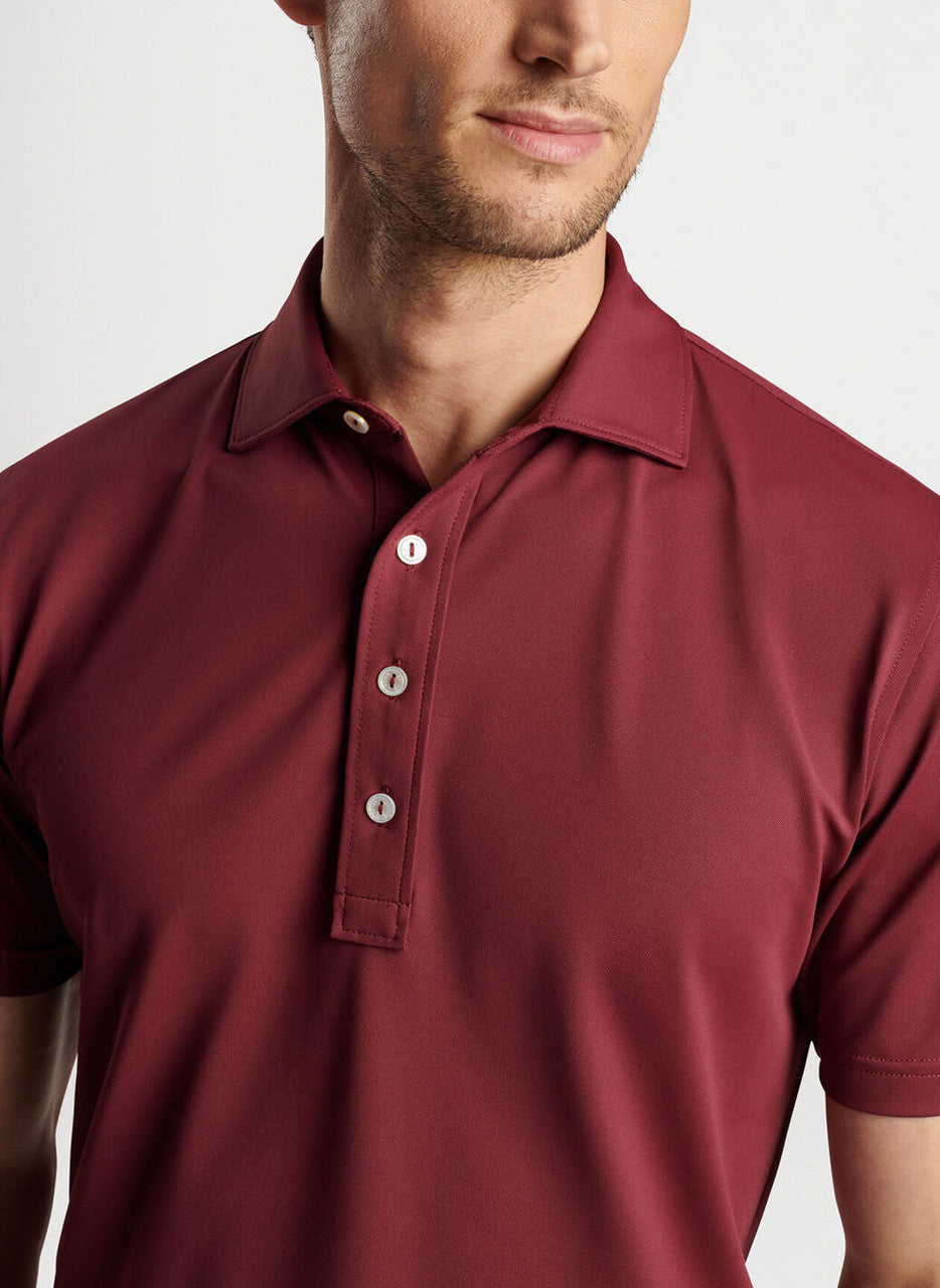 Peter Millar Crown Crafted Soul Performance Mesh Polo: Vermouth