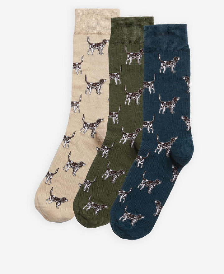 Barbour Pointer Dog Socks Gift Box: Forest Mist