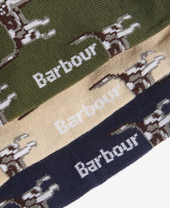 Barbour Pointer Dog Socks Gift Box: Forest Mist