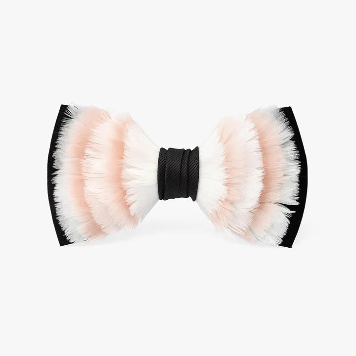 Brackish Bowtie: Mayaguana