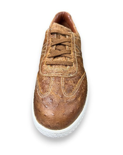 T.B. Phelps Brooklyn Street Sneaker: Ostrich with White/Tan Sole