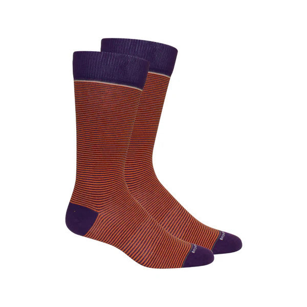 Brown Dog Hosiery Stand Up Stripe: Purple/Orange