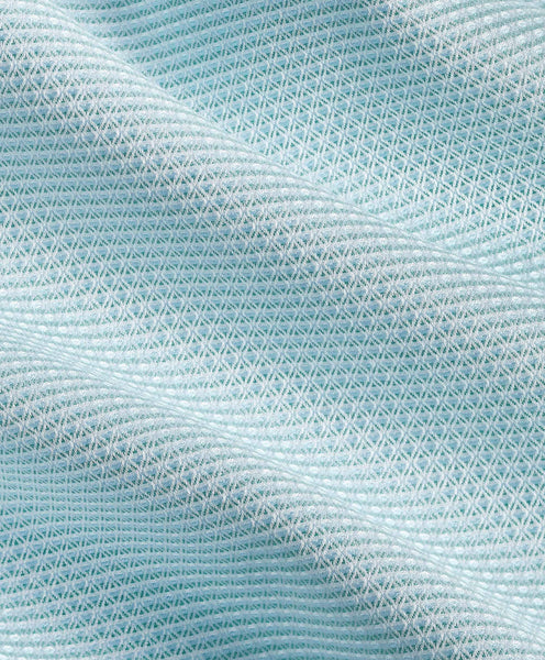 David Donahue Micro Dobby Dress Shirt: Seafoam