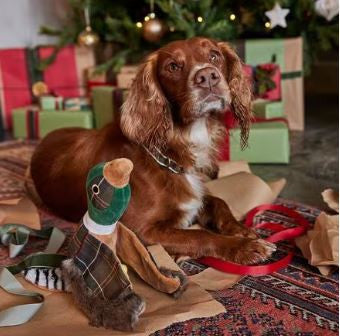 Barbour Pheasant Dog Toy