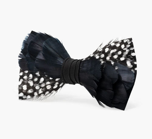 Brackish Bowtie: Bisbee