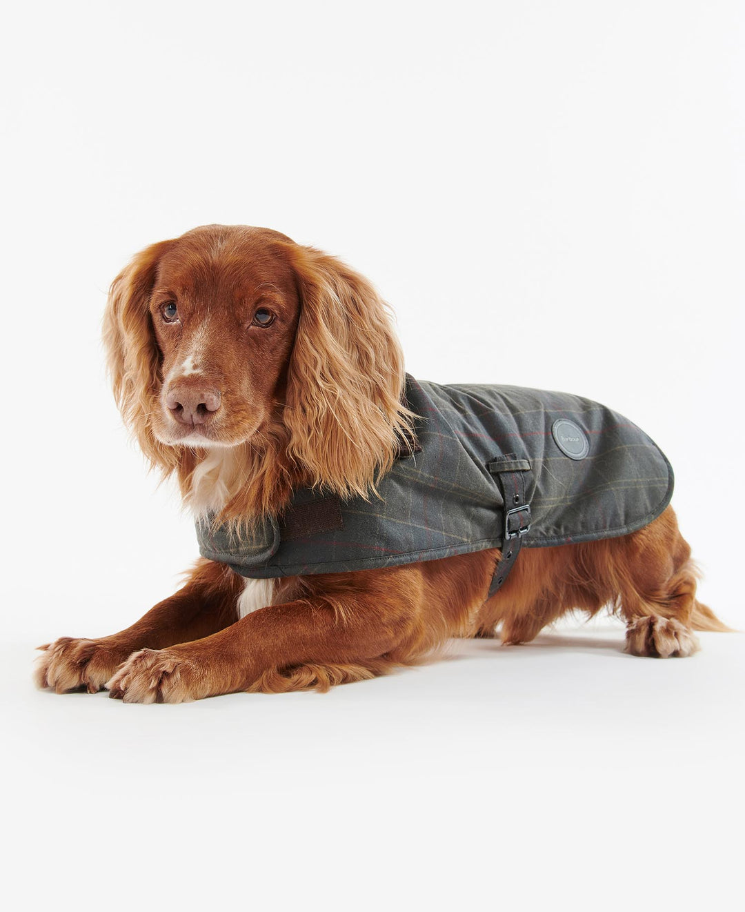 Barbour Tartan Waxed Dog Coat: Classic Tartan