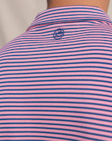 Southern Tide Oceanfront Stripe Pique Polo: Sea Pink