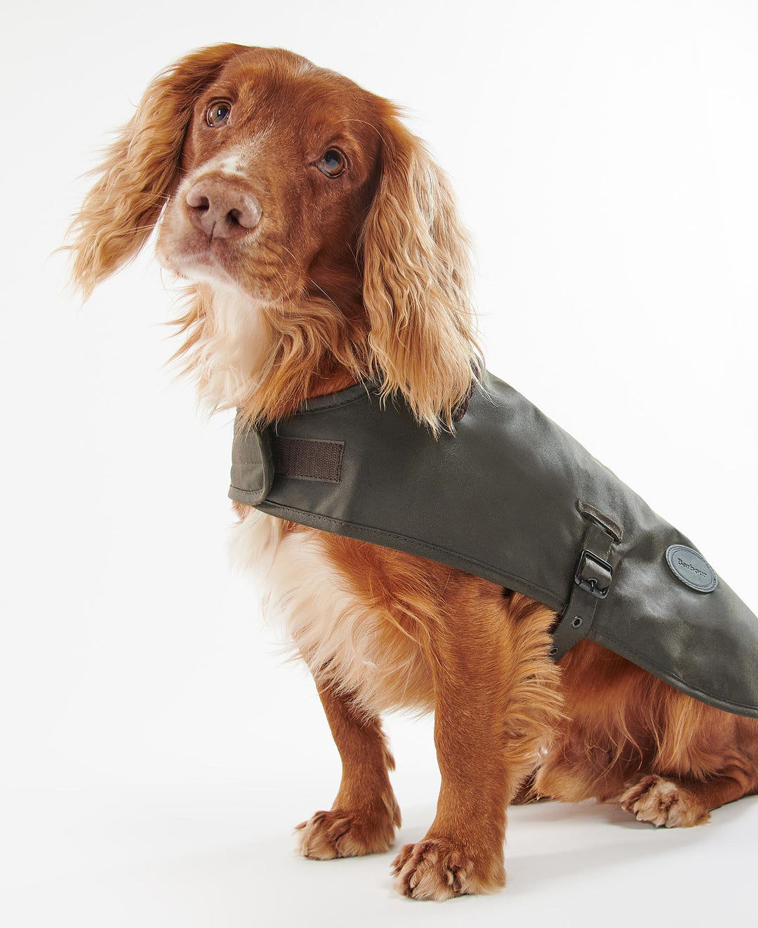Barbour Wax Dog Coat: Olive