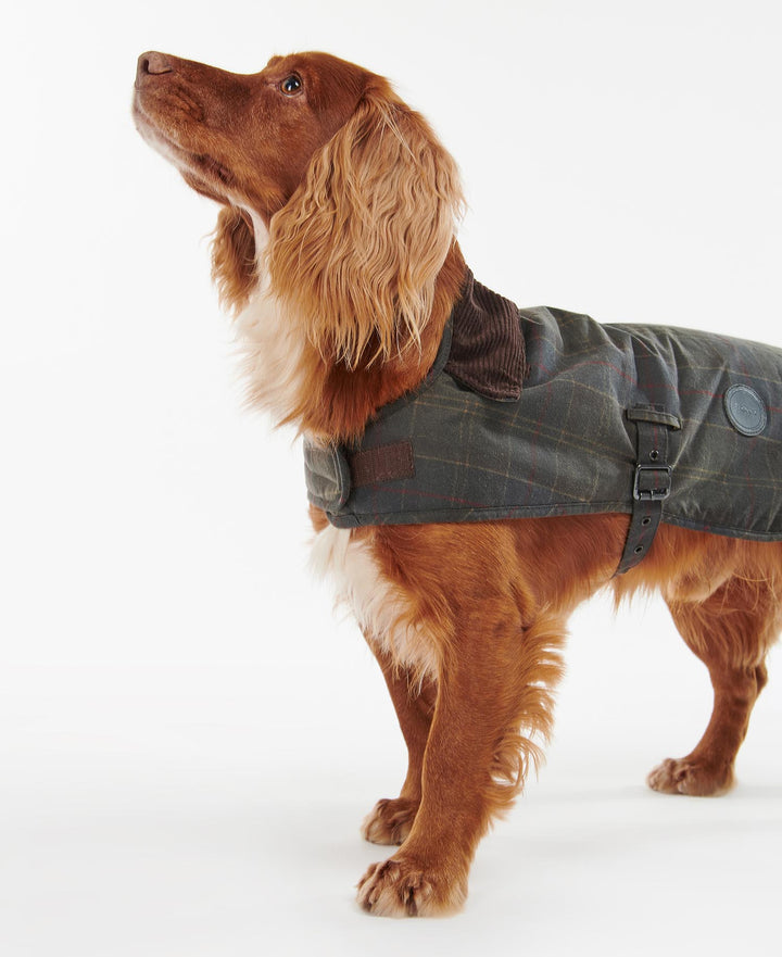 Barbour Tartan Waxed Dog Coat: Classic Tartan