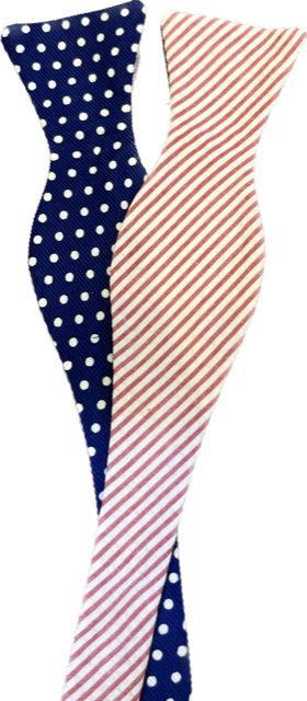 Craig Reagin Navy Dot/Red Stripe Bowtie