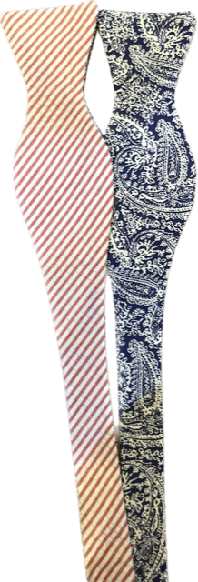 Craig Reagin Blue Paisley/Red Seersucker Bowtie