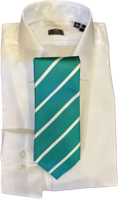 Robert Jensen Seafoam College Stripe Necktie