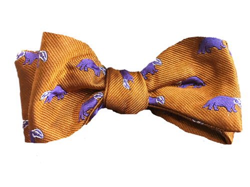 Craig Reagin Badger Bowtie - Orange